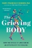 Buchcover und Innenansicht für das Buch: Grieving Body, The