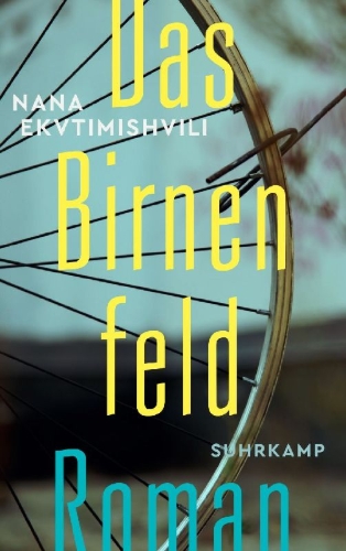 Buchcover und Innenansicht für das Buch: [Mskhlebis Mindori]
