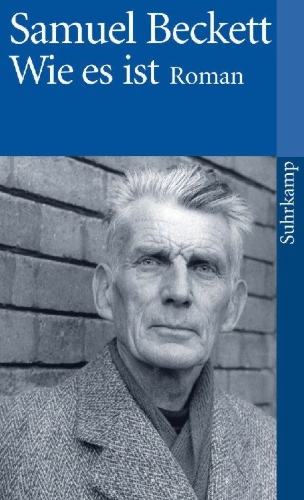 Buchcover und Innenansicht für das Buch: Comment c'est