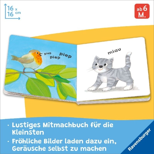 Buchcover und Innenansicht für das Buch: Wie klingt deine Welt?
