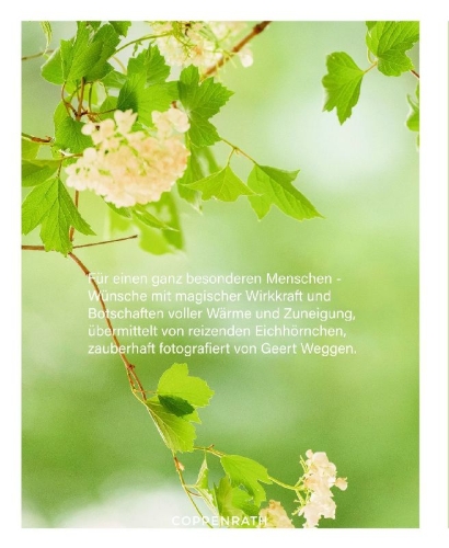 Buchcover und Innenansicht für das Buch: Das Glück aller Kleeblätter sei mit dir