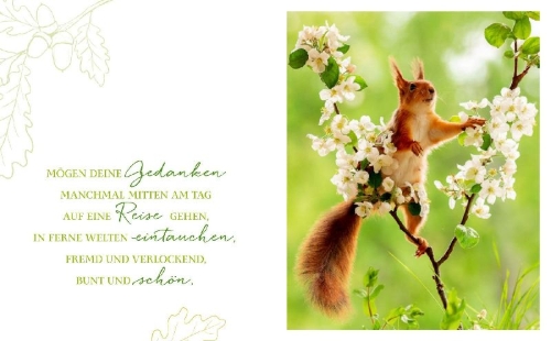 Buchcover und Innenansicht für das Buch: Das Glück aller Kleeblätter sei mit dir