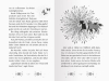 Buchcover und Innenansicht für das Buch: Pferdeflüsterer-Mädchen, Band 4 - Das kleine Wunder