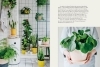 Buchcover und Innenansicht für das Buch: The Unkillables. 40 resilient houseplants for new plant parents