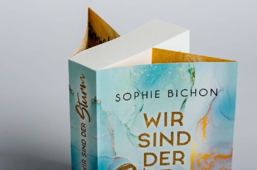 Buchcover und Innenansicht für das Buch: Wir sind der Sturm