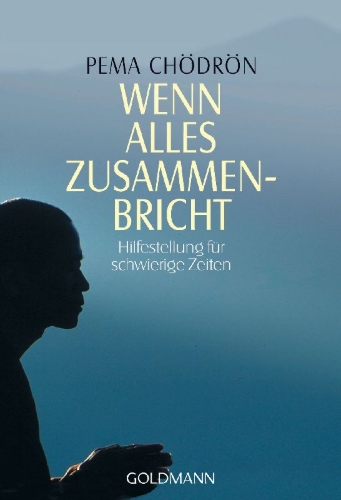 Buchcover und Innenansicht für das Buch: Wenn alles zusammenbricht