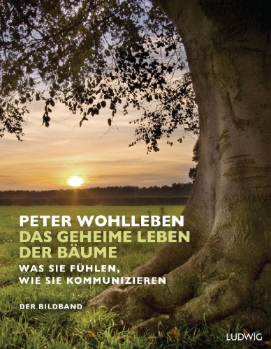 Buchcover und Innenansicht für das Buch: Das geheime Leben der Bäume