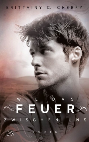 Buchcover und Innenansicht für das Buch: The Fire Between Hi and Lo