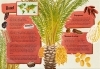 Buchcover und Innenansicht für das Buch: Weißt du, wo der Pfeffer wächst? - Erstaunliches Wissen von Ananas bis Zimt