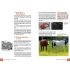 Buchcover und Innenansicht für das Buch: Fujifilm X-M5: Das umfangreiche Praxisbuch zu Ihrer Kamera