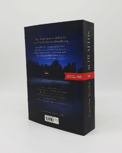 Buchcover und Innenansicht für das Buch: Dvalan