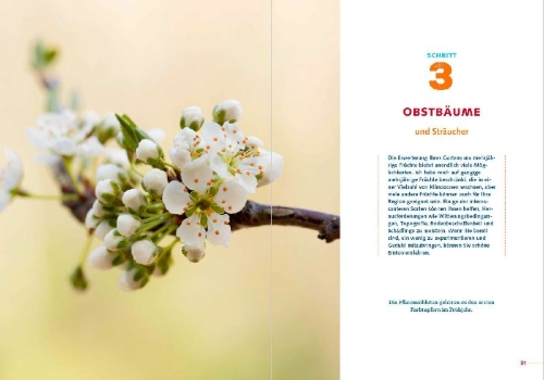 Buchcover und Innenansicht für das Buch: The Seven-Step Homestead
