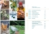 Buchcover und Innenansicht für das Buch: The Seven-Step Homestead