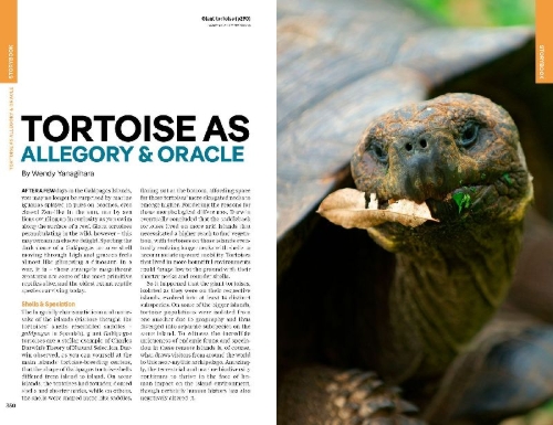Buchcover und Innenansicht für das Buch: Lonely Planet Ecuador & the Galapagos Islands