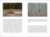 Buchcover und Innenansicht für das Buch: Nachricht von ruhigen Momenten