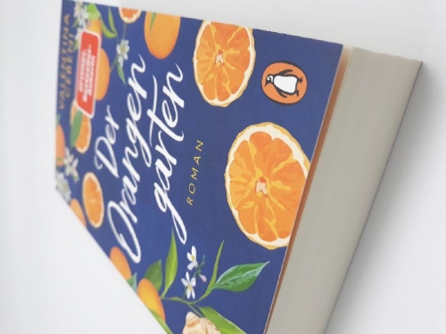 Buchcover und Innenansicht für das Buch: L'amore che ci resta