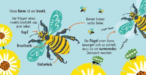 Buchcover und Innenansicht für das Buch: 50 Wörter über die Natur - Insekten