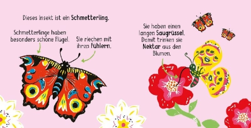 Buchcover und Innenansicht für das Buch: 50 Wörter über die Natur - Insekten