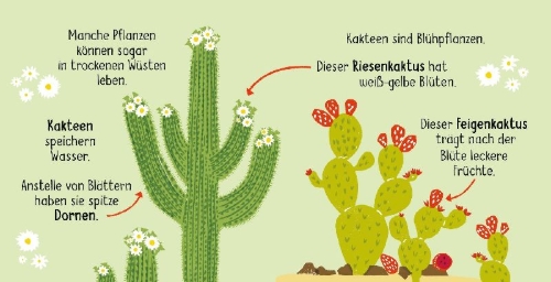 Buchcover und Innenansicht für das Buch: 50 Wörter über die  Natur - Pflanzen
