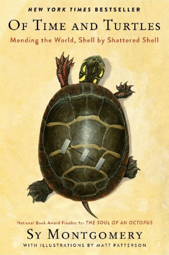 Buchcover und Innenansicht für das Buch: Of Time and Turtles