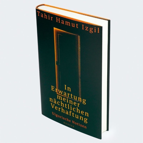 Buchcover und Innenansicht für das Buch: WAITING TO BE ARRESTED AT NIGHT