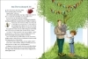 Buchcover und Innenansicht für das Buch: Der kleine Traumsegler (Band 3)