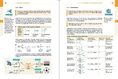 Buchcover und Innenansicht für das Buch: Basiswissen Schule - Chemie 5. bis 10. Klasse