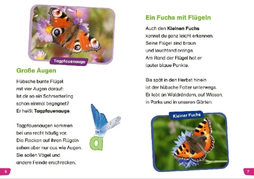 Buchcover und Innenansicht für das Buch: WAS IST WAS Erstes Lesen easy! Unsere Schmetterlinge
