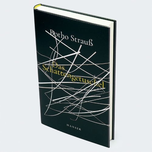 Buchcover und Innenansicht für das Buch: Das Schattengetuschel