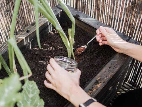 Buchcover und Innenansicht für das Buch: Rethink Garten. Bewusst pflanzen, umweltschonend düngen, naturnah selbst versorgen