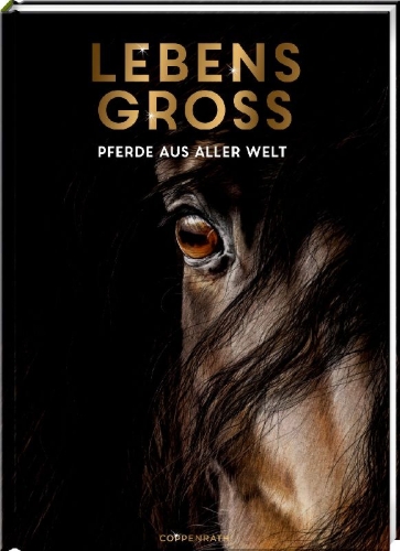 Buchcover und Innenansicht für das Buch: Lebensgroß