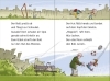 Buchcover und Innenansicht für das Buch: Leseprofis - Voll im Fußballfieber!, 1. Klasse (Doppelband)