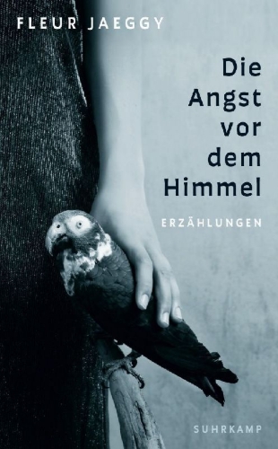 Buchcover und Innenansicht für das Buch: La paura del cielo