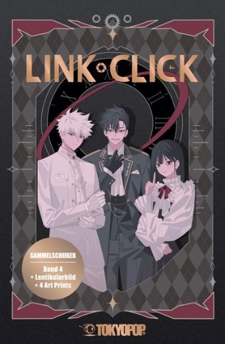 Buchcover und Innenansicht für das Buch: Link Click 04 + Box