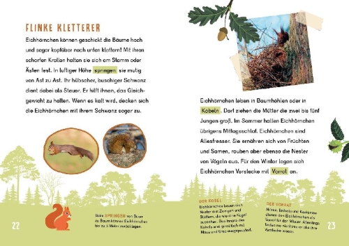 Buchcover und Innenansicht für das Buch: Dein Lesestart - Wald
