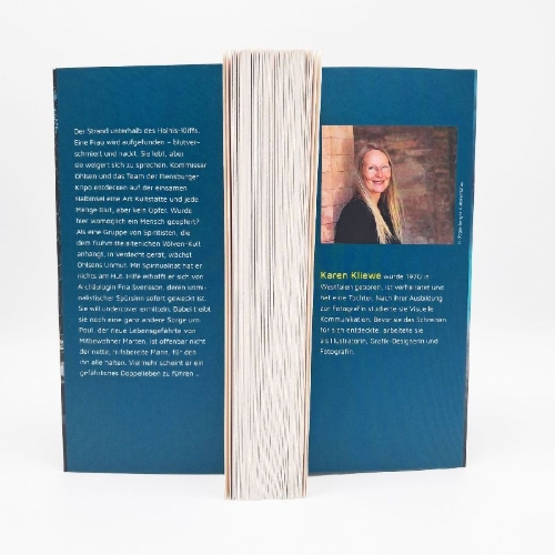 Buchcover und Innenansicht für das Buch: Die Brandung - Nebelschwester