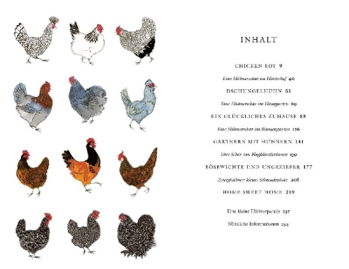 Buchcover und Innenansicht für das Buch: Chicken Boy, My Life with hens