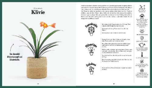 Buchcover und Innenansicht für das Buch: 50 Plantes Increvables