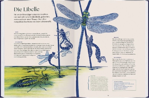 Buchcover und Innenansicht für das Buch: verwandelt