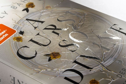 Buchcover und Innenansicht für das Buch: A Curse so Divine