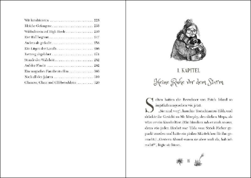 Buchcover und Innenansicht für das Buch: Ruby Fairygale (Band 6) - Das Vermächtnis der Geister