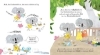 Buchcover und Innenansicht für das Buch: Gutes Benehmen leicht gemacht: Freundlichkeit für kleine Koalas