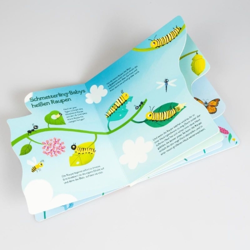 Buchcover und Innenansicht für das Buch: Von der kleinen Raupe zum Schmetterling