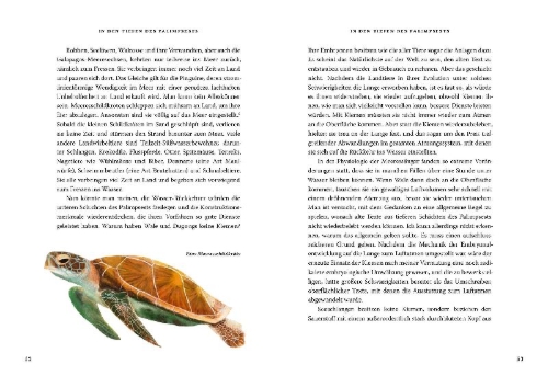 Buchcover und Innenansicht für das Buch: Das große Buch der Evolution