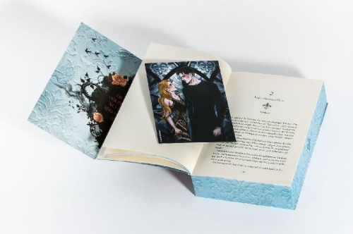 Buchcover und Innenansicht für das Buch: Cruel Noblesse: Melodie der Rache