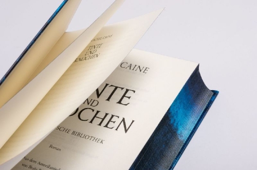 Buchcover und Innenansicht für das Buch: The Great Library - Ink and Bone