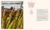 Buchcover und Innenansicht für das Buch: God is a Pickle