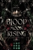 Buchcover und Innenansicht für das Buch: Blood Moon Rising. Kampf um die Krone (Blood Moon Rising 1)