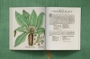 Buchcover und Innenansicht für das Buch: Besler. The Garden at Eichstätt