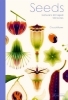 Buchcover und Innenansicht für das Buch: L'odyssée des graines